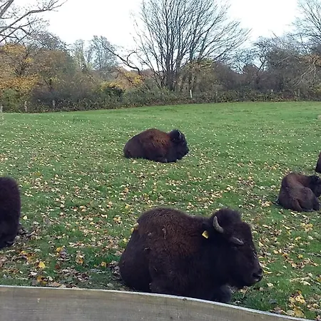 Lägenhet Schoenes In Ruhiger Lage