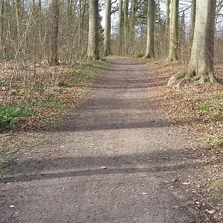 Lägenhet Schoenes In Ruhiger Lage